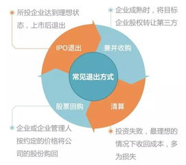 私募股权投资 现代金融体系中的恐怖赚钱机器